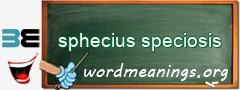 WordMeaning blackboard for sphecius speciosis